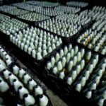 Експорт озброєння: що Україна може запропонувати світу