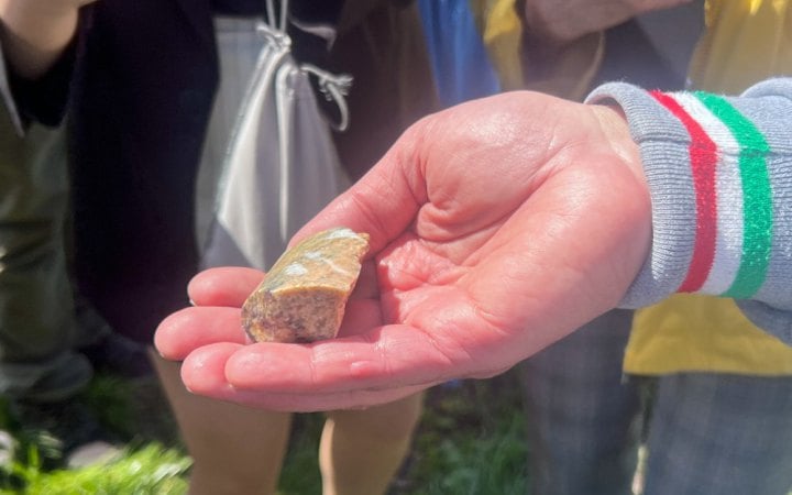 Американські інвестори та суди за літій на Кіровоградщині